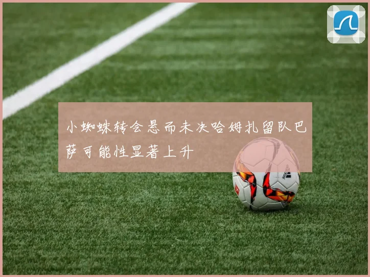 小蜘蛛转会悬而未决哈姆扎留队巴萨可能性显著上升